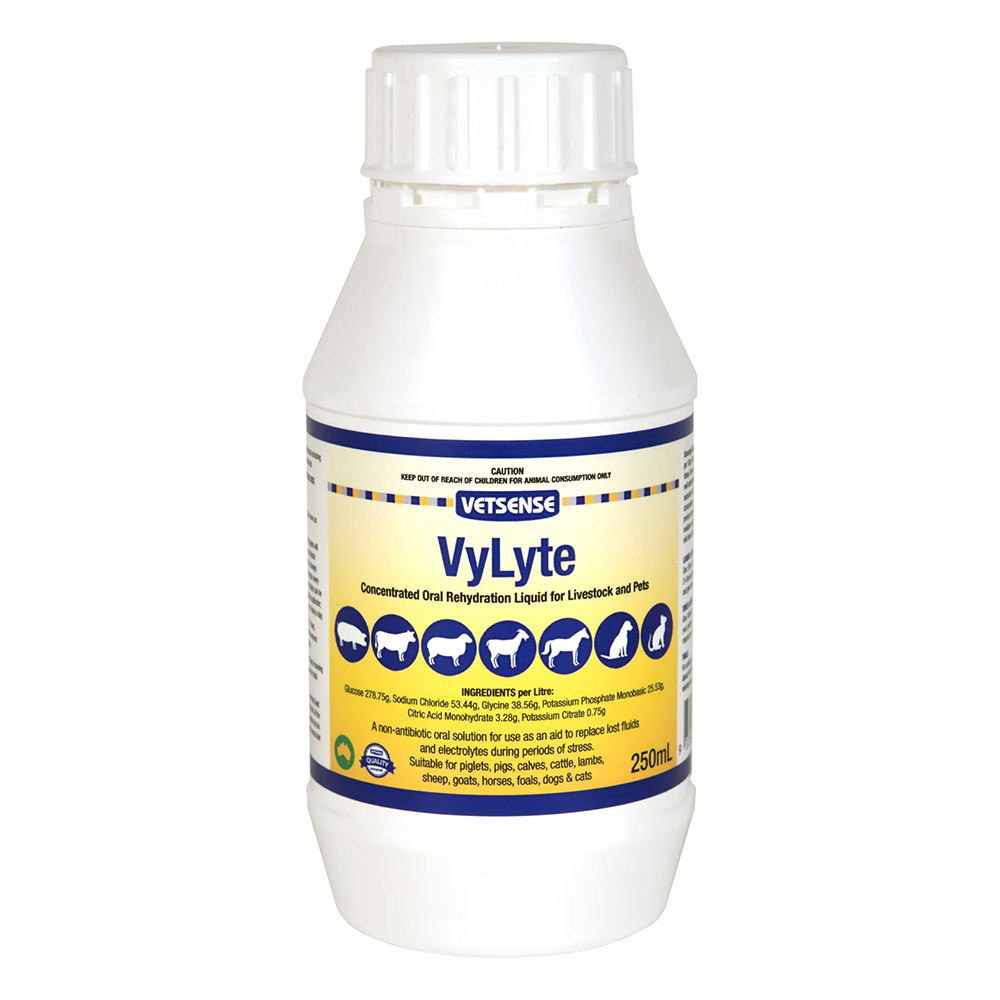 Vetsense VyLyte Concentrated Oral Rehydration Liquid for Livestock and Pets for Dog Supplies