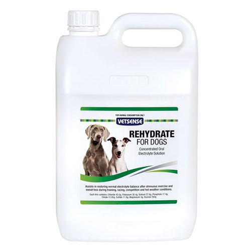 Vetsense Rehydrate