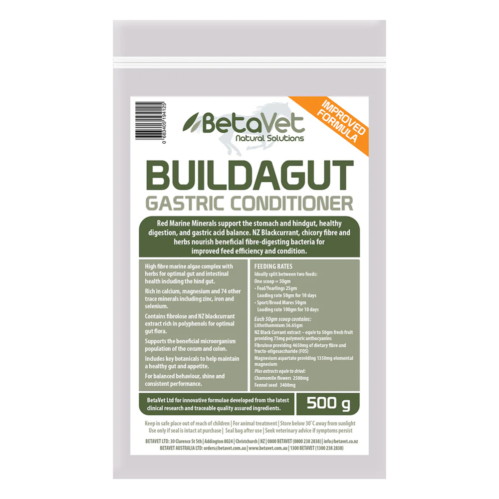 BetaVet BuildaGut Gastric Conditioner for Horse for Horse Supplies