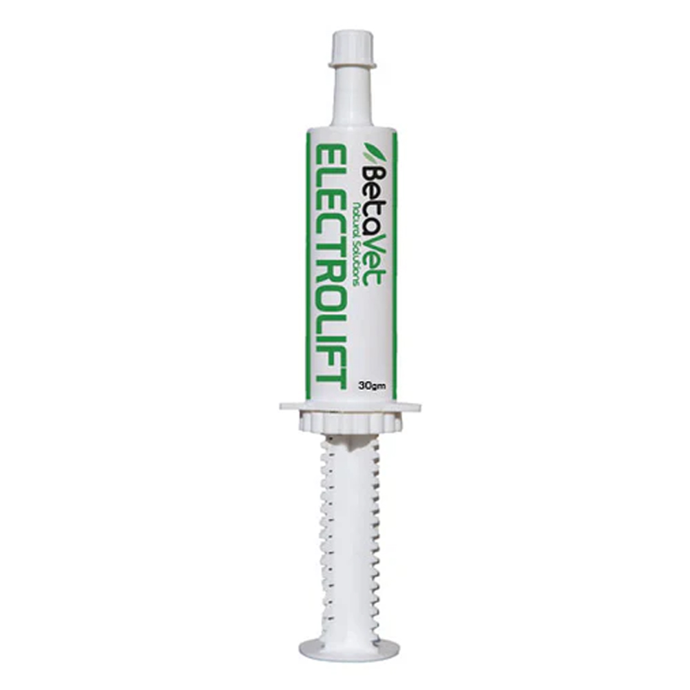 BetaVet Electrolift Electrolyte Paste for Horse for Horse Supplies