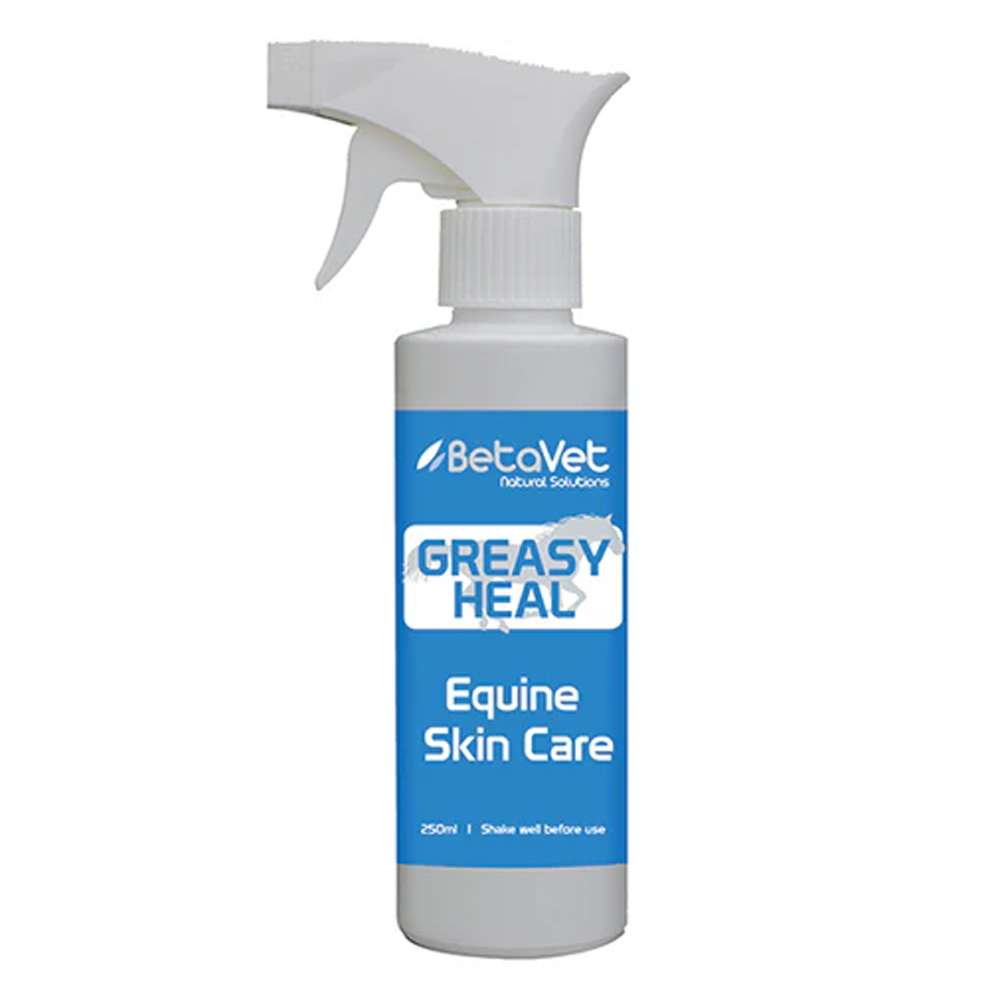 BetaVet Greasy Heal Equine Skin Care for Horse for Horse Supplies
