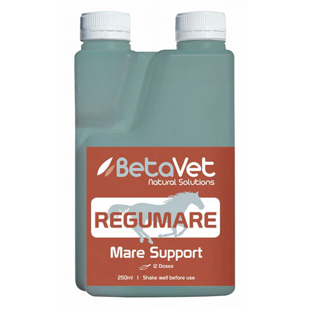 BetaVet Regumare Mare Support for Horse for Horse Supplies