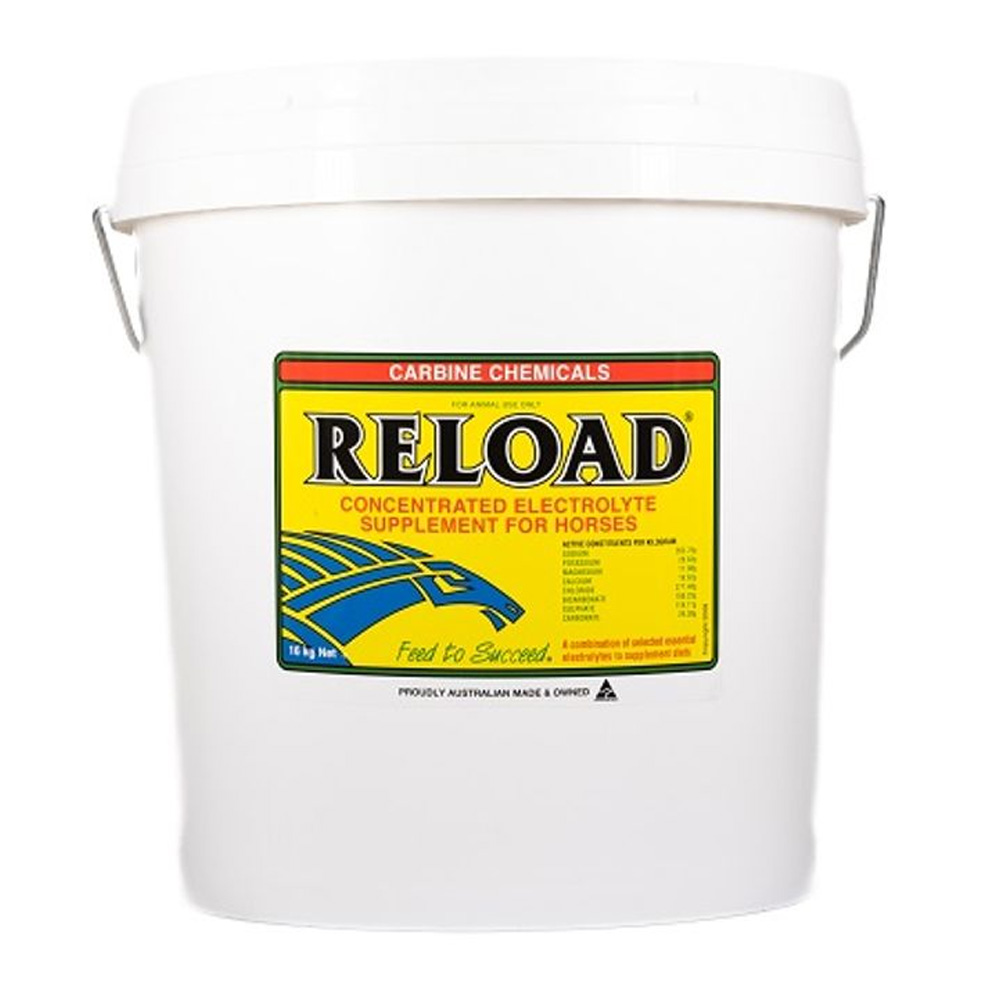 Carbine Chemicals Reload Concentrated Electrolyte Supplement for Horses