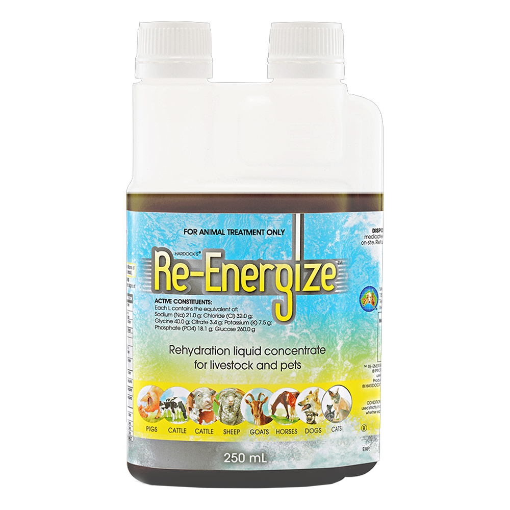 IAH Re-Energize Rehydration Liquid Concentrate for Livestock and Pets for Farm Animals