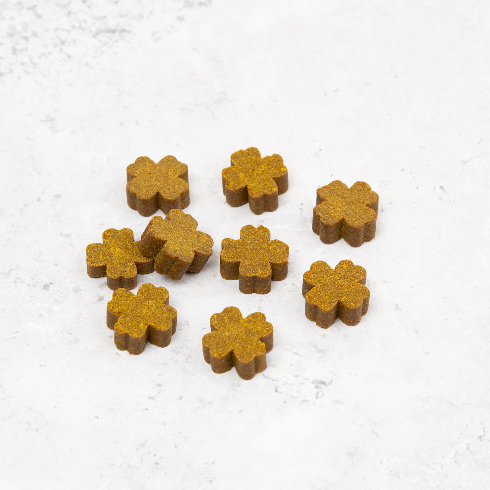 Zamipet Senior Support Dog Supplement