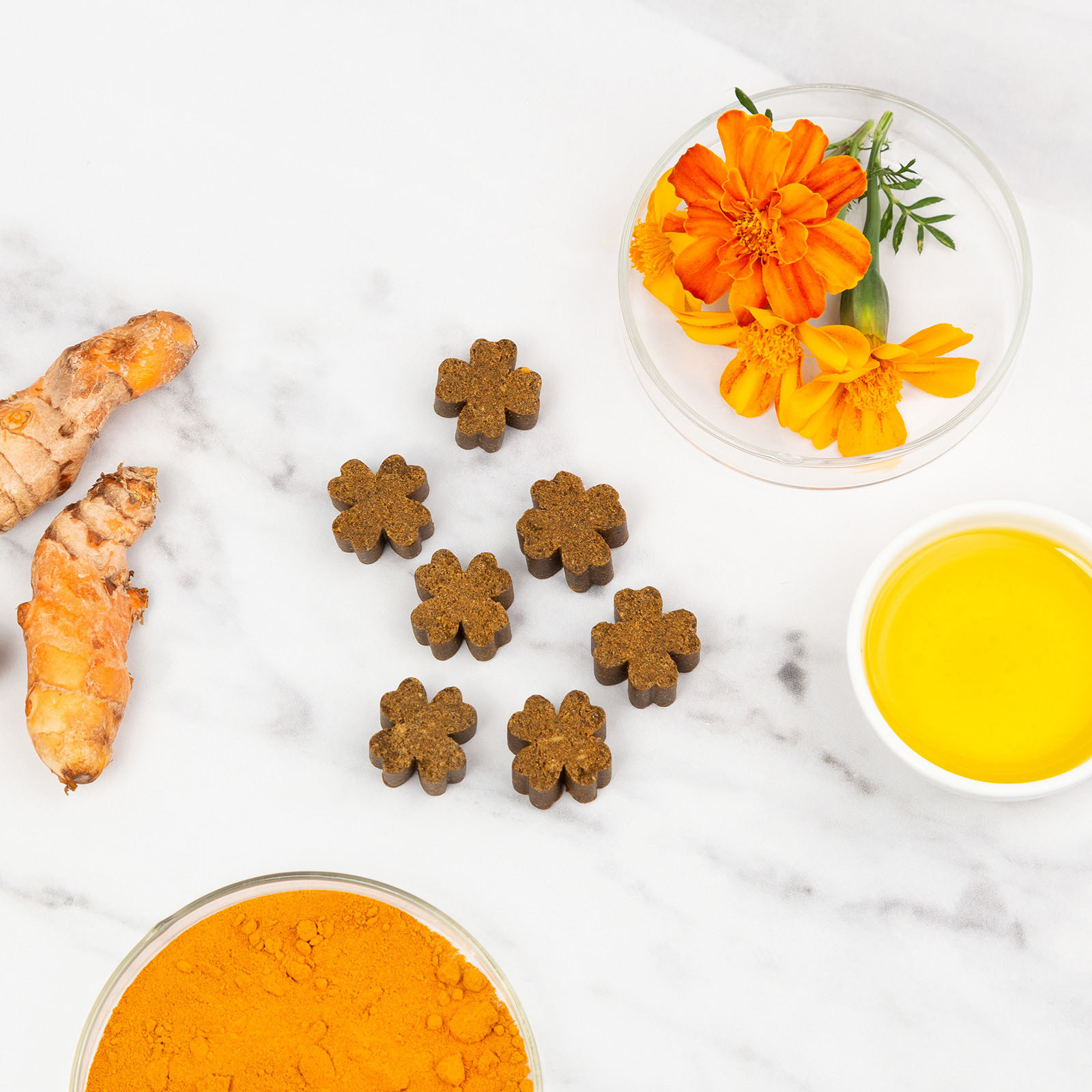 Zamipet Senior Support Dog Supplement