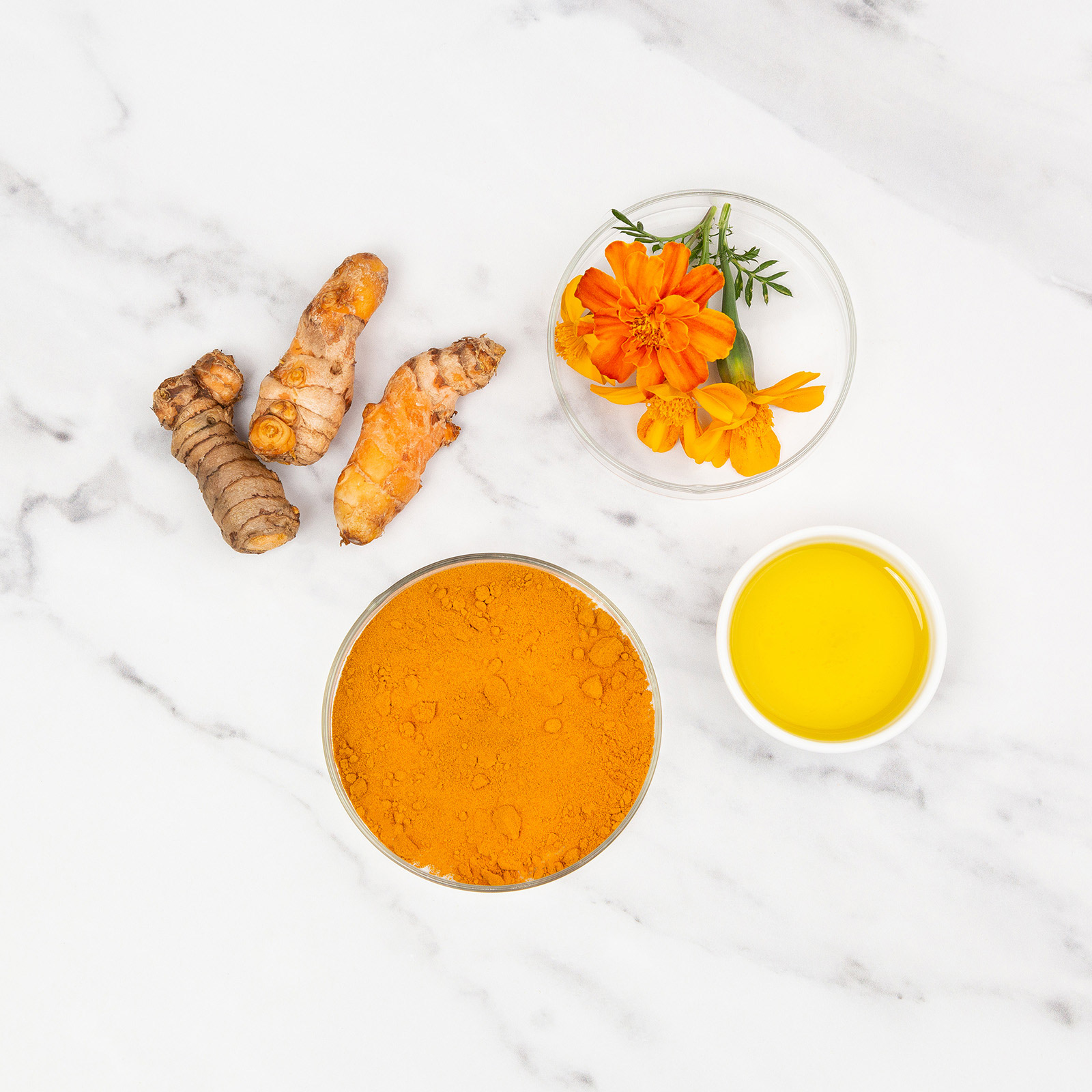 Zamipet Senior Support Dog Supplement