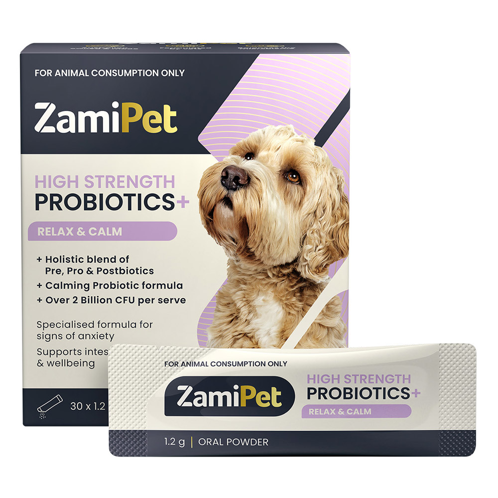 ZamiPet High Strength Probiotics + Relax & Calm Oral Powder for Dog for Dog Supplies