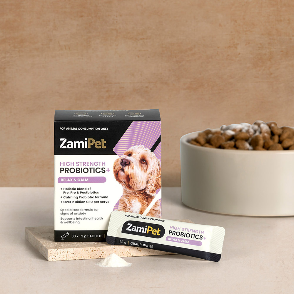 ZamiPet High Strength Probiotics + Relax & Calm Oral Powder for Dog