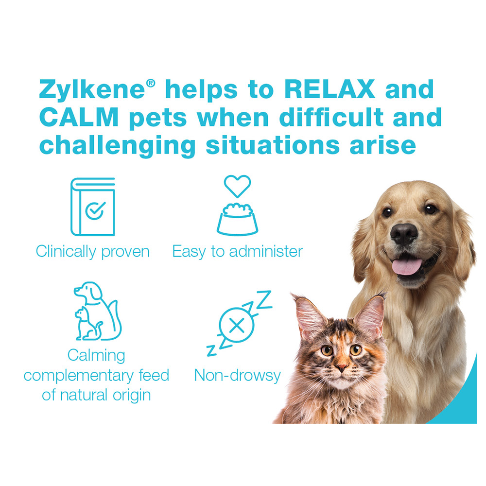 Zylkene Nutritional Supplement Calming Chews for Large Dogs 15-60kg 450mg