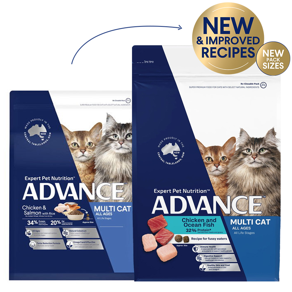 Advance Multi Cat All Ages Chicken and Ocean Fish Recipe for Fussy Eaters Dry Cat Food
