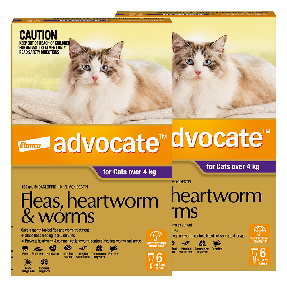 Advocate For Cats Over 4Kg (Purple)