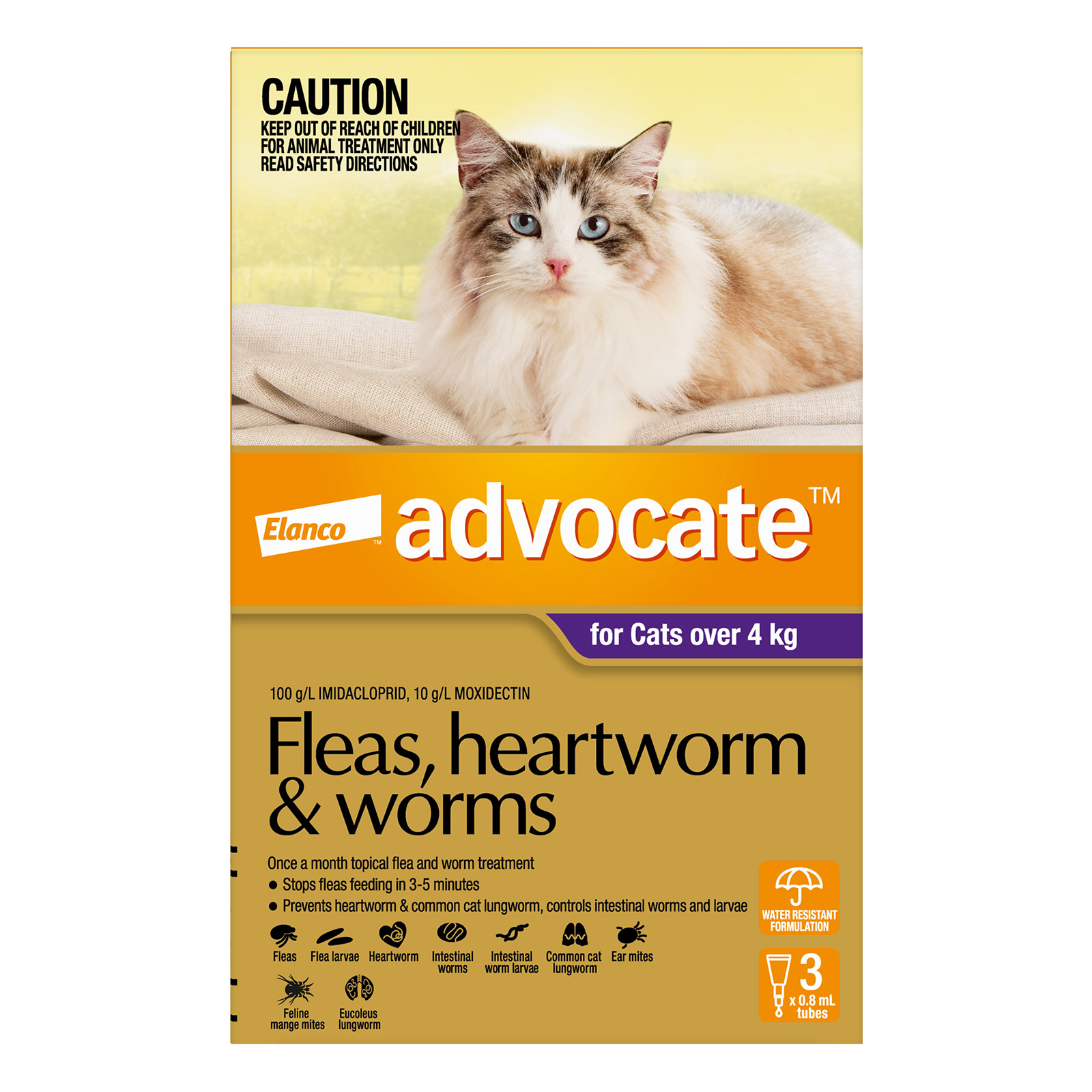 Advocate For Cats Over 4Kg (Purple)