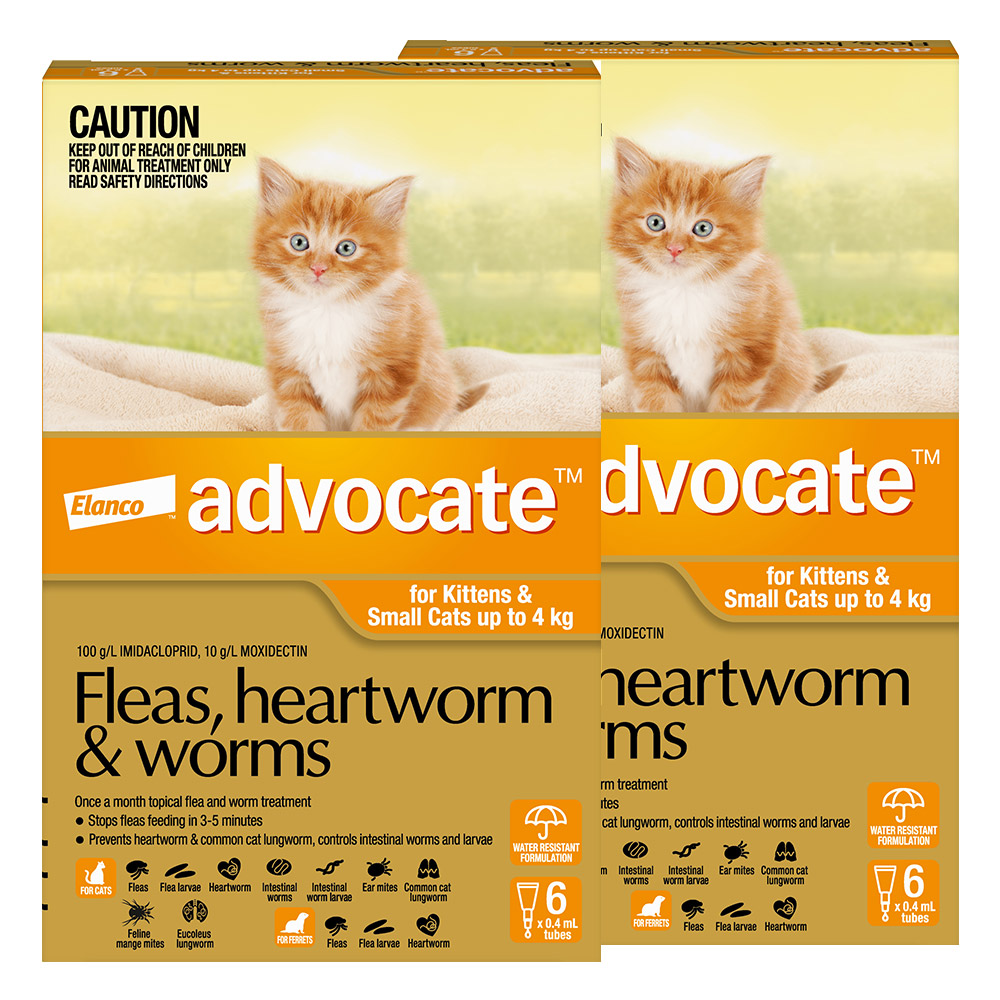 Advocate For Kittens & Small Cats Up To 4Kg (Orange)