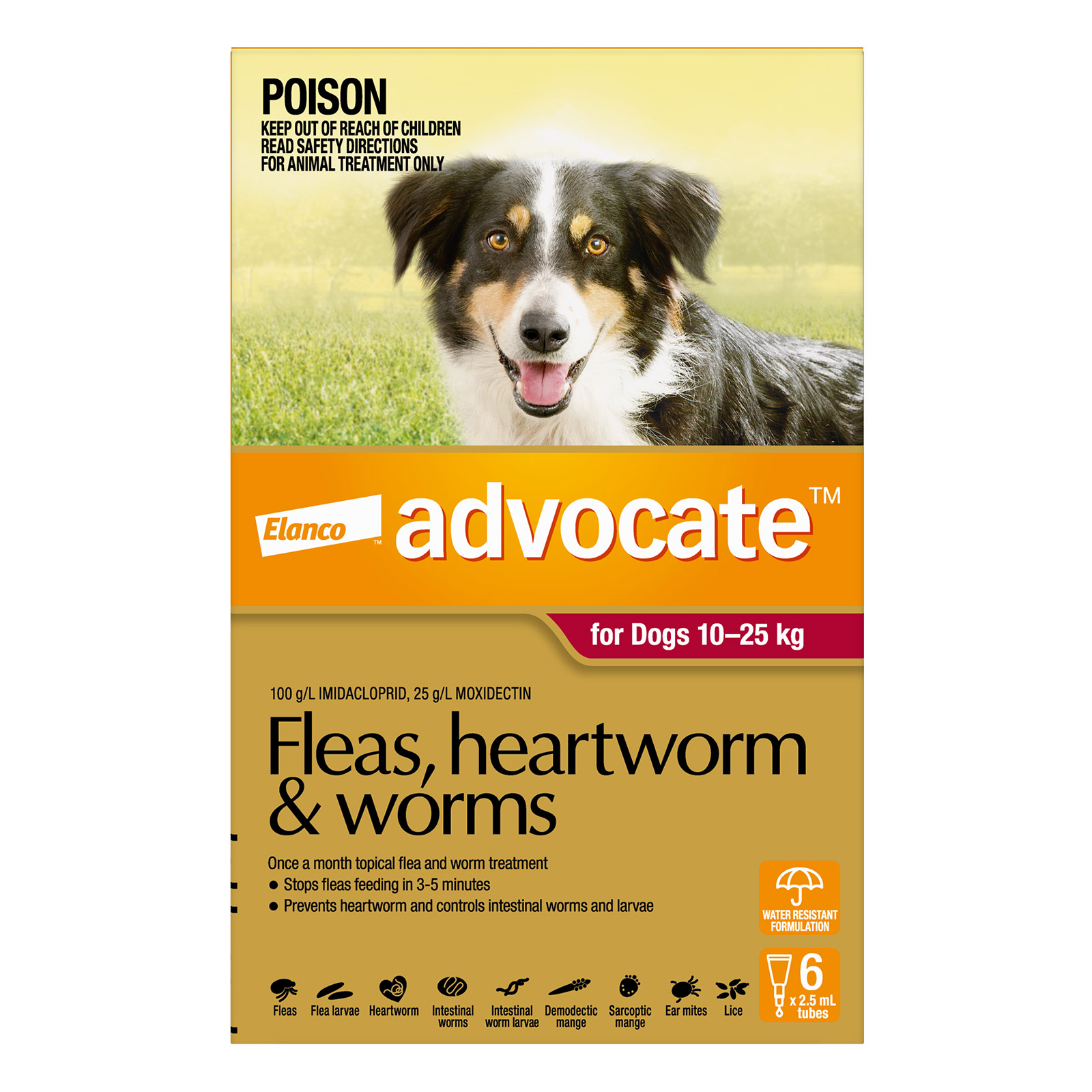 Advocate For Dogs 10 to 25 Kg (Large Dogs) Red