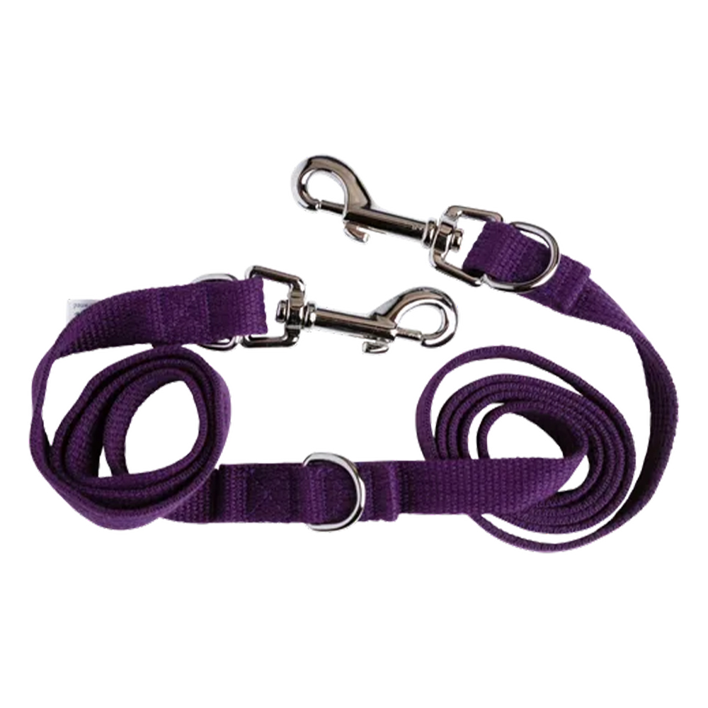Beau Pets Adjustable Webbing Lead Purple