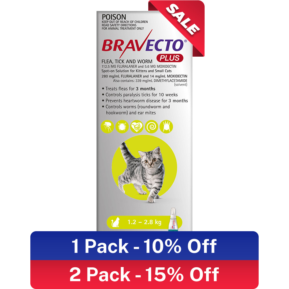 bravecto cat flea treatment