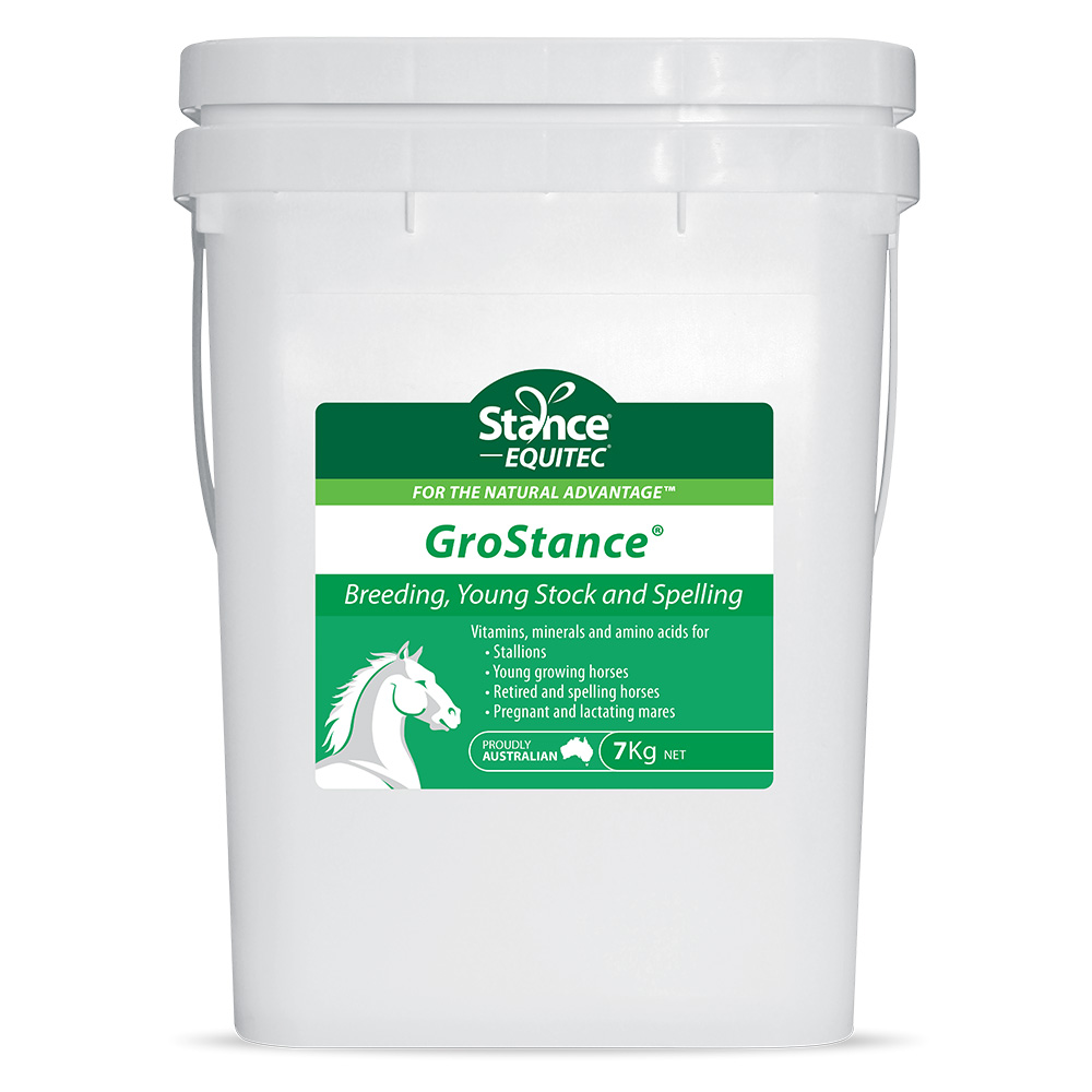 Stance Equitec Grostance for Horses for Horse Supplies