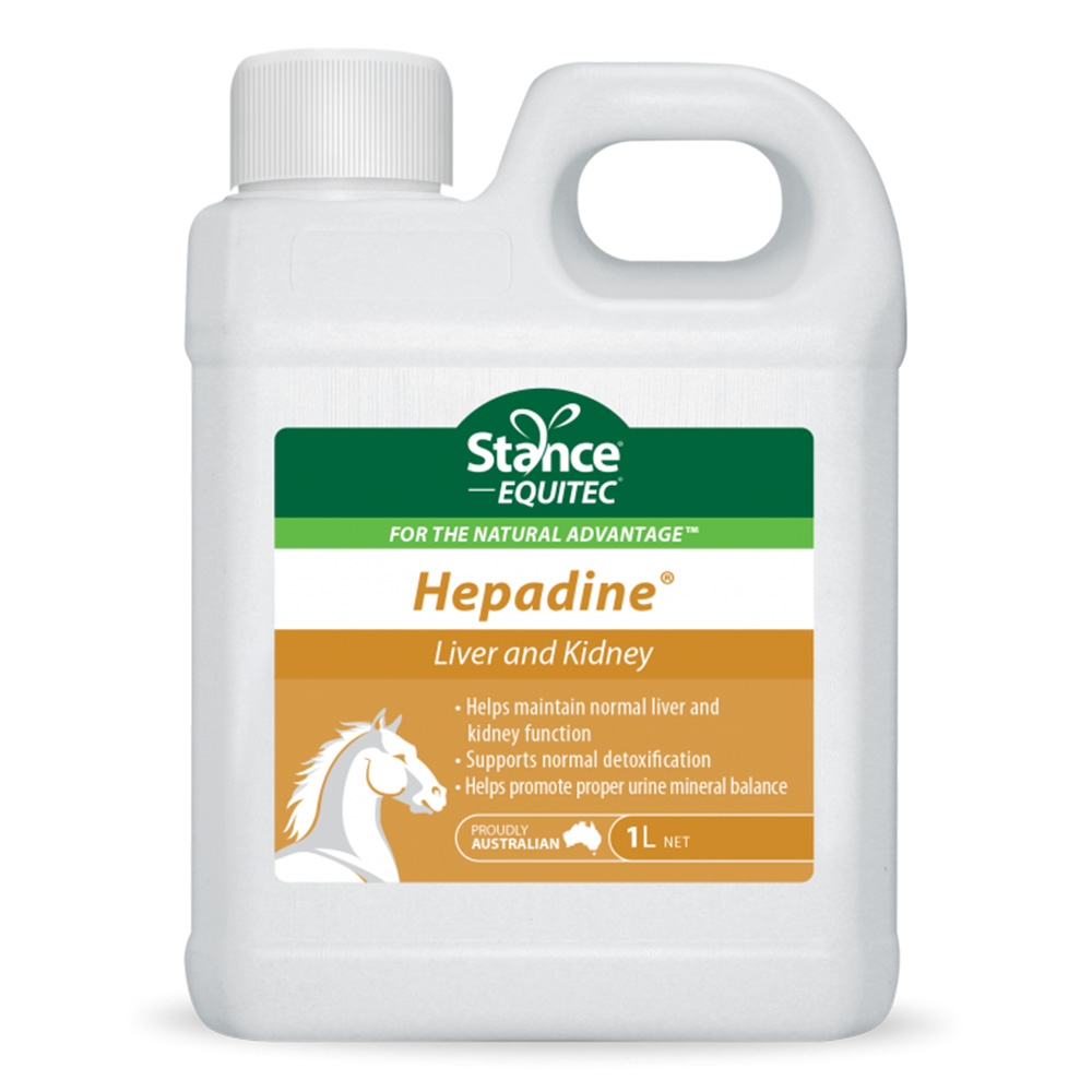 Stance Equitec Hepadine for Horses for Horse Supplies