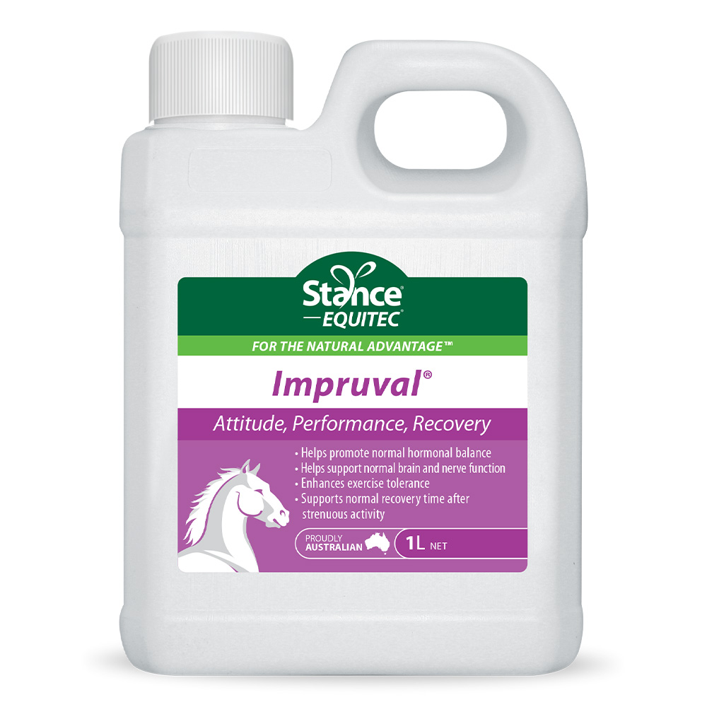 Stance Equitec Impruval for Horses