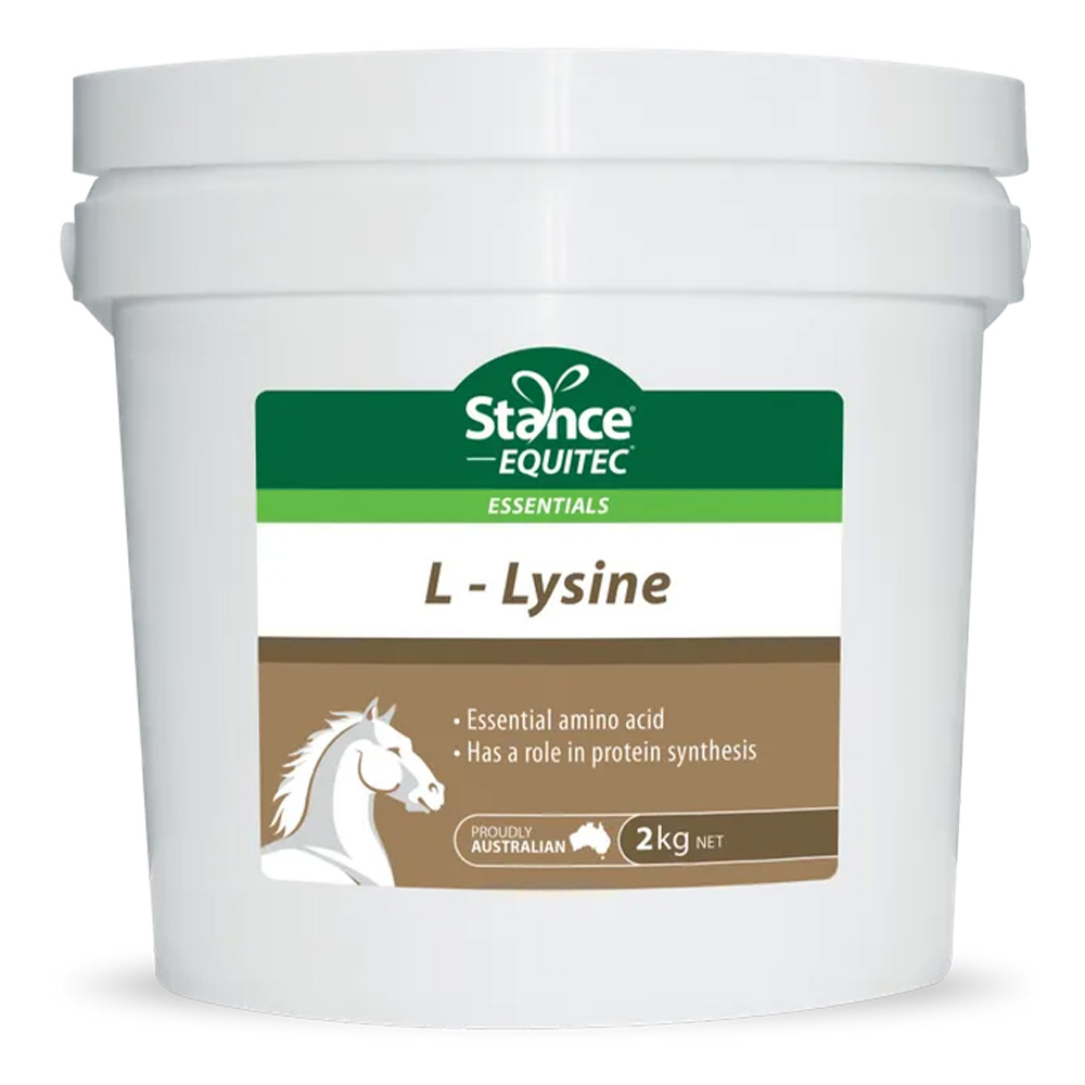 Stance Equitec L-lysine Amino Acid for Horses for Horse Supplies