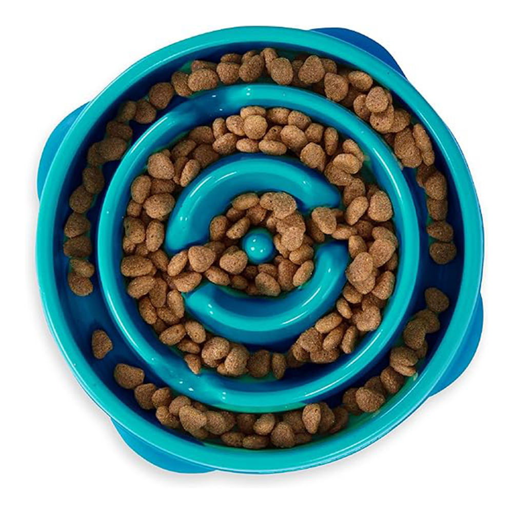 Outward Hound Fun Feeder Slo Bowl for Dogs - Teal