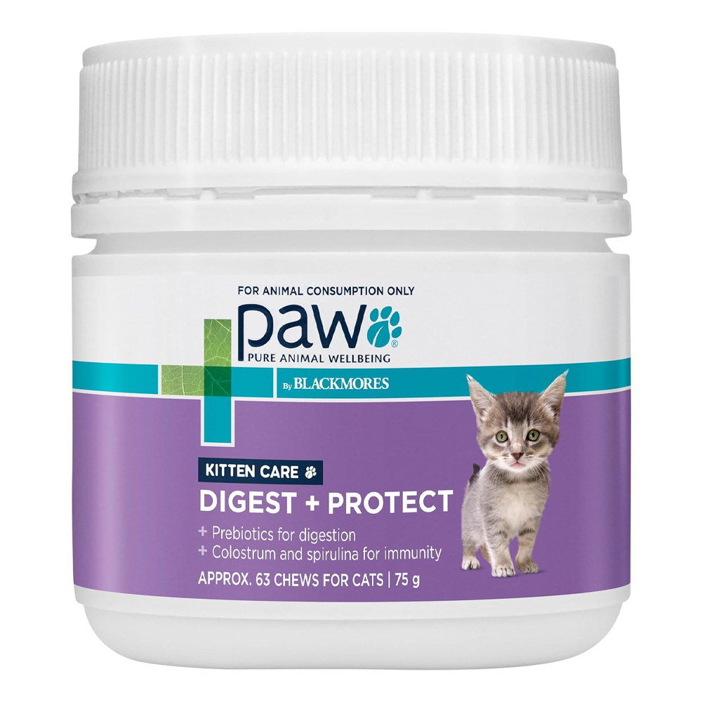 Paw Digest + Protect Kitten Care for Cat Supplies