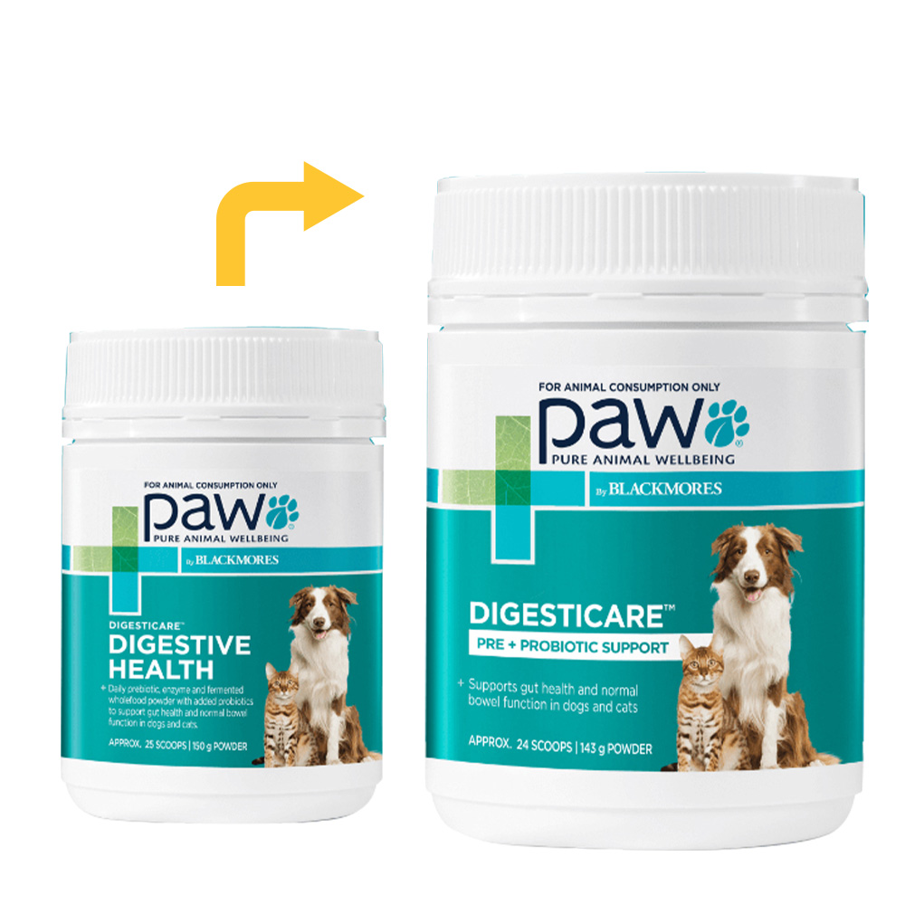 Paw Digesticare Pre + Probiotic Support for Dogs and Cats for Dog Supplies
