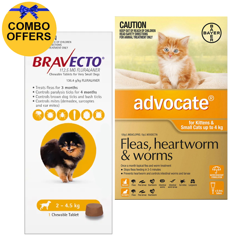 Bravecto & Advocate Combo