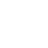 Wet Food