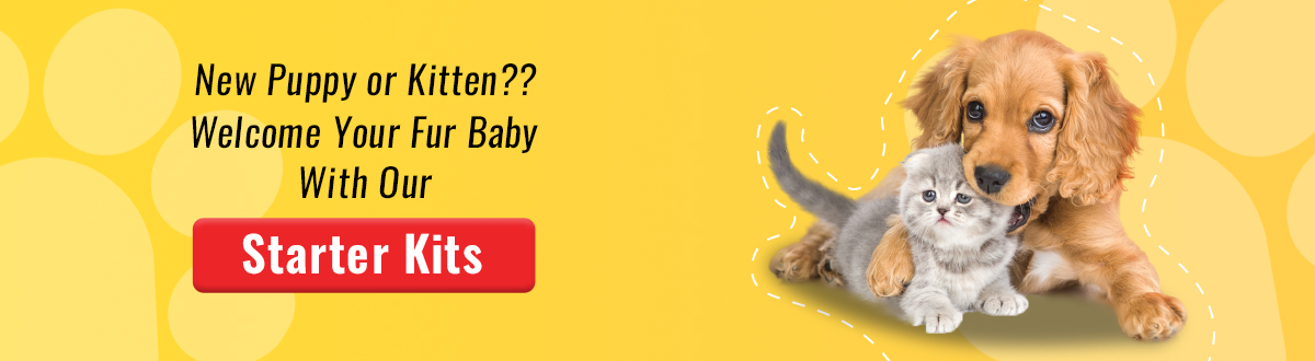 Buy shop baby dog