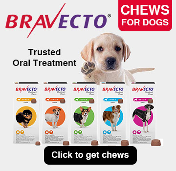 Bravecto Chews