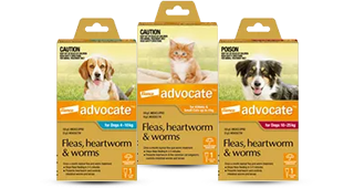 Advocate