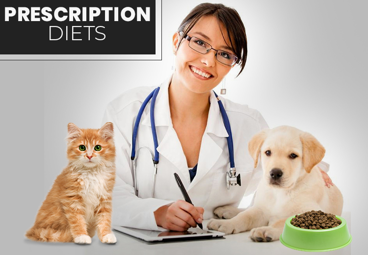 Prescription Diets prescription-diets