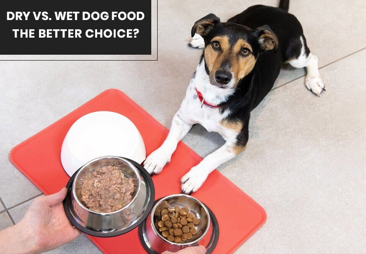 Dry vs. Wet Dog Food – The better choice?