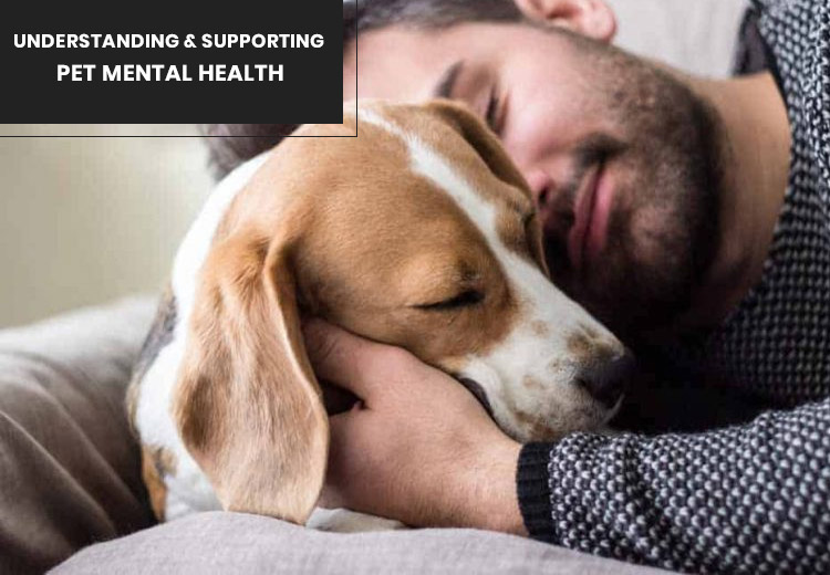 Understanding and Supporting Pet Mental Health