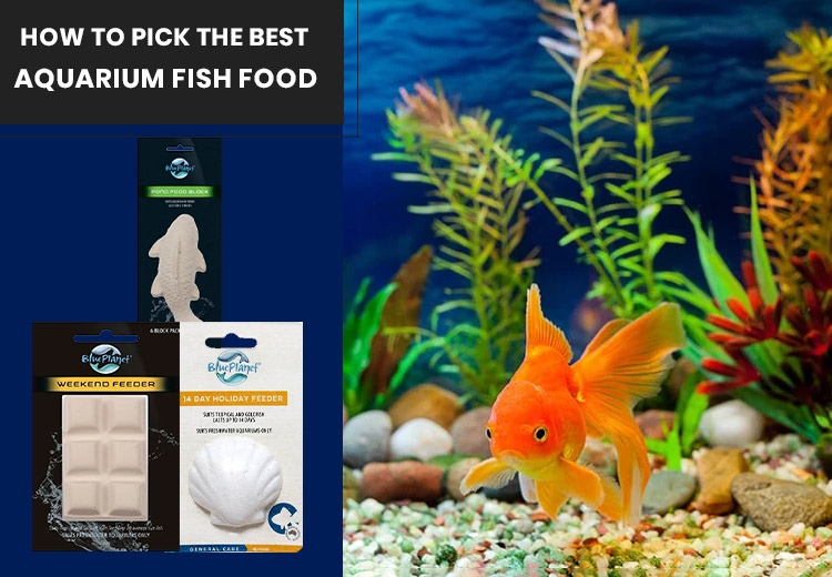 How to Pick the Best Aquarium Fish Food