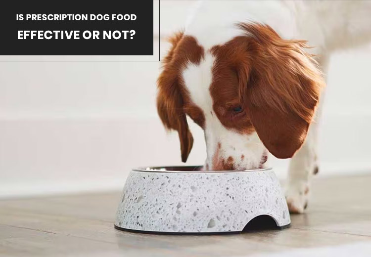Is Prescription Dog Food Effective Or Not?