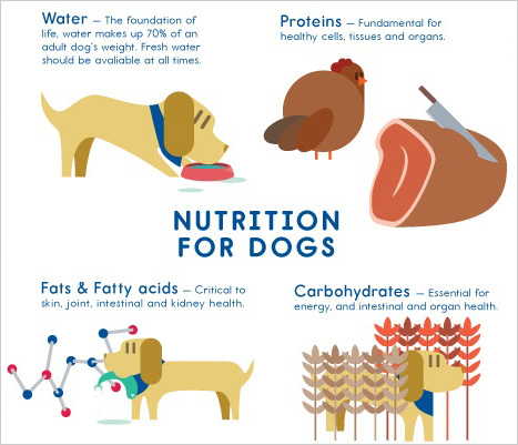 Nutrients