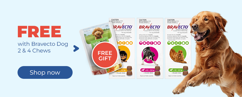 Bravecto Vitapet