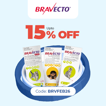 Bravecto Sale