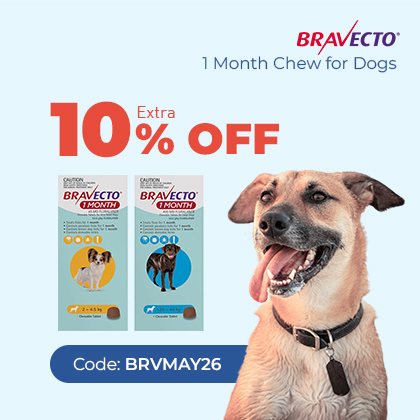 Bravecto Sale