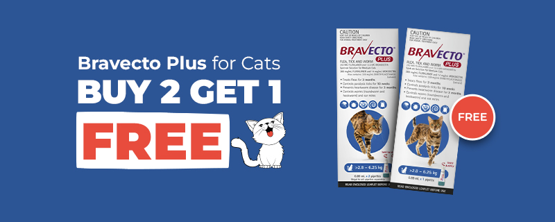 Bravecto Sale