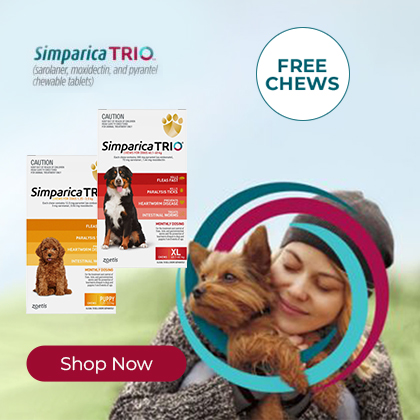 Simparica Trio