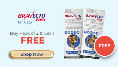 Bravecto Cat