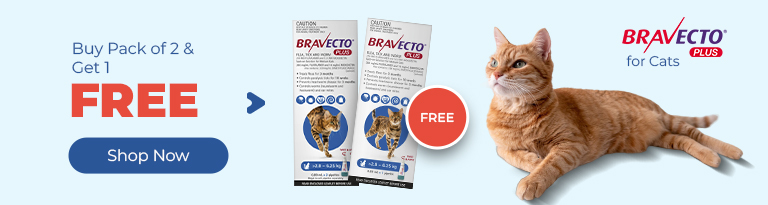 Bravecto Vitape