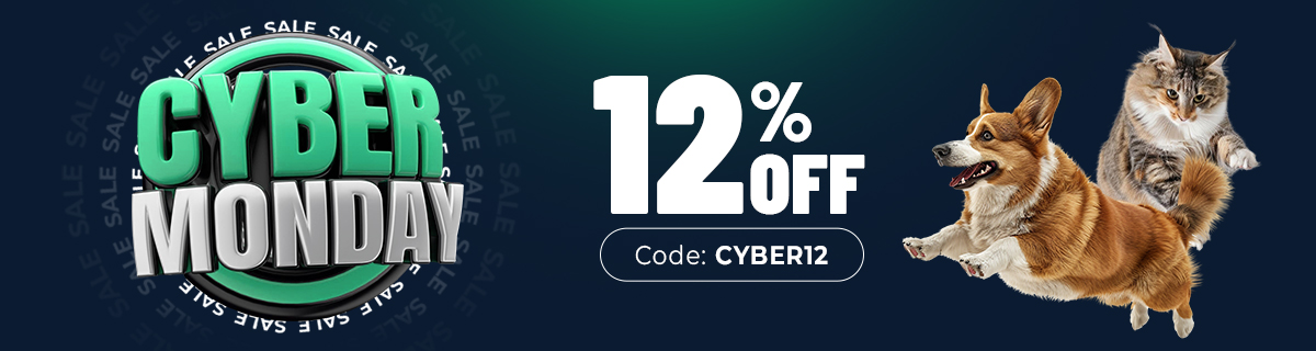 Cyber Monday Sale