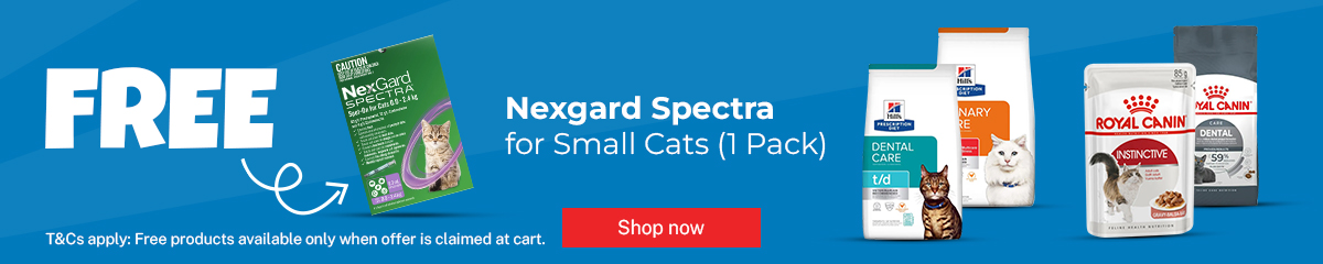 Cat Pet Food