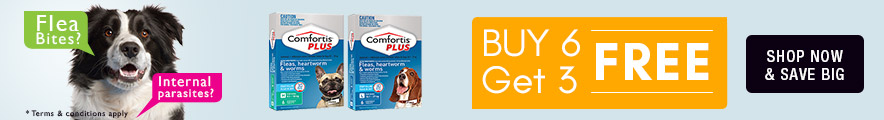 Comfortis Plus Offer