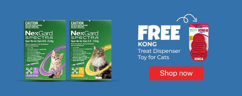 Nexgard Cat